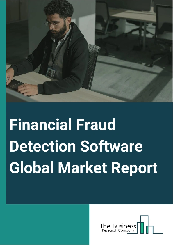 Financial Fraud Detection Software