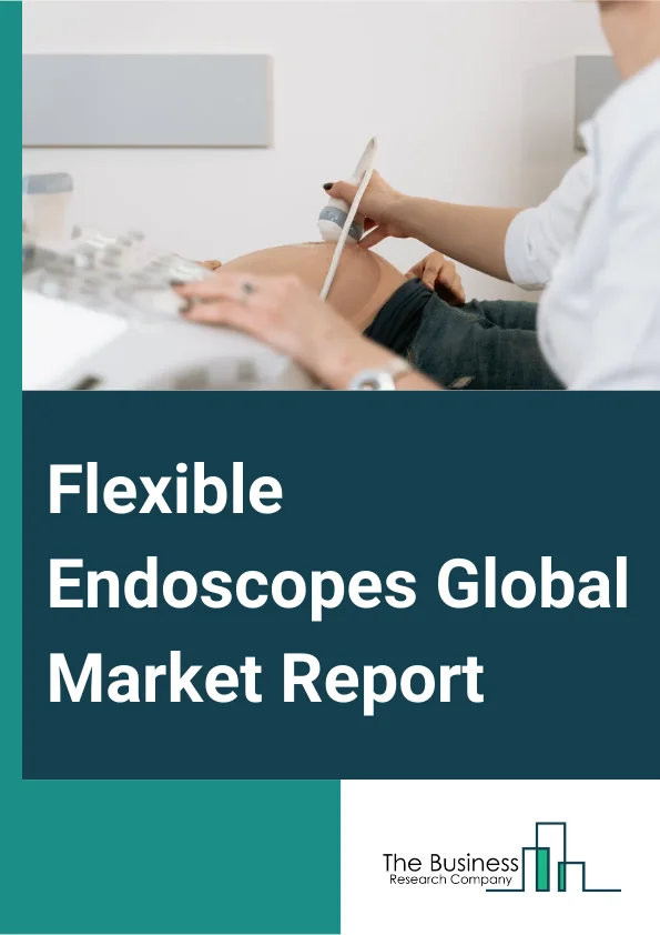 Flexible Endoscopes Global Market Report 2024 – By Product (Fiberscope, Video Endoscope), By Application (GI Endoscopy, Pulmonary Endoscopy, ENT Endoscopy, Obstetrics or Gynecology, Urology, Other Applications), By End User (Hospitals, Ambulatory Surgery Centers, Other End Users) – Market Size, Trends, And Global Forecast 2024-2033