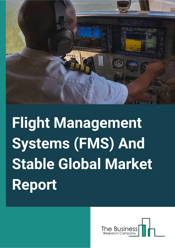 Flight Management Systems FMS And Stable