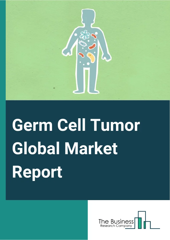 Germ Cell Tumor Global Market Report 2024 – By Disease (Testicular, Ovarian, Other Diseases), By Treatment Type (Chemotherapy, Immunotherapy), By Route Of Administration (Oral, Intravenous, Intraperitoneal), By End User (Hospitals And Clinics, Research Institutes, Other End Users) – Market Size, Trends, And Global Forecast 2024-2033