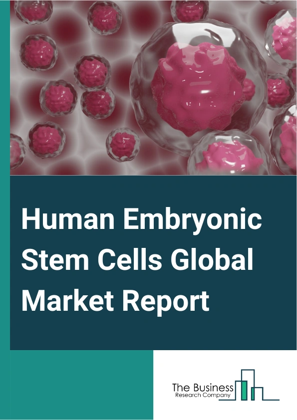 Human Embryonic Stem Cells