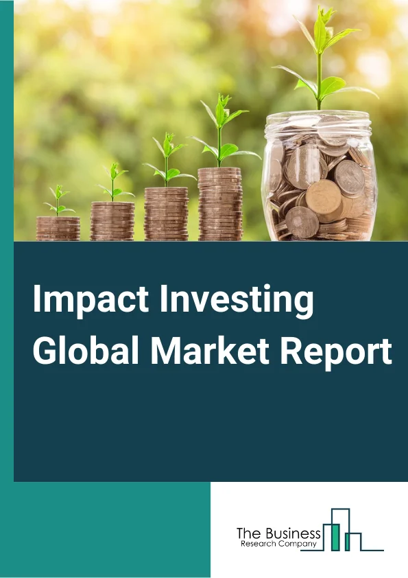 Impact Investing Market Size, Trends, Growth And Forecast 20242033