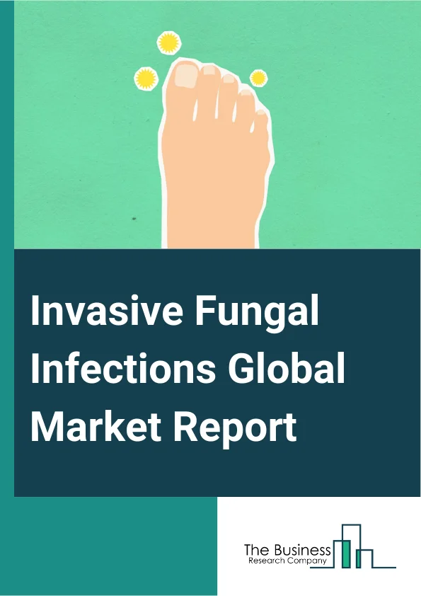 Invasive Fungal Infections Global Market Report 2024 – By Disease Type (Candidaemi And Invasive Candidiasis, Intra Abdominal Candidiasis, Cryptococcal Meningitis, Esophageal Candidiasis, Histoplasmosis Acute Pulmonary, Other Disease Type), By Drug Type (Polyenes, Triazoles, Echinocandins, Flucytosine, Other Drug Type), By End-Users (Hospitals, Homecare, Specialty Clinics, Other End-Users) – Market Size, Trends, And Global Forecast 2024-2033