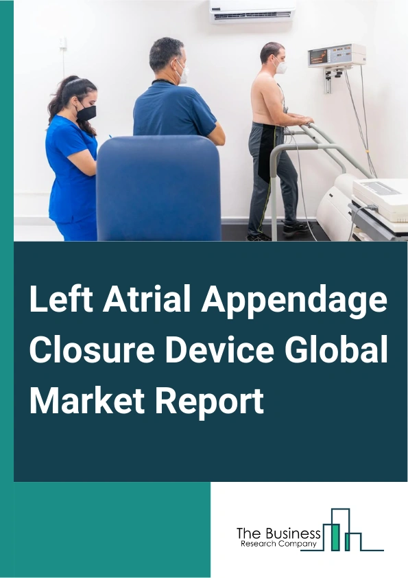 Left Atrial Appendage Closure Device