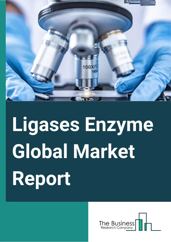 Ligases Enzyme Global Market Report 2024 – By Type (E. coli DNA ligase, T4 DNA Ligase, Mammalian Ligases, Thermostable Ligases), By Source (Microorganisms, Animal, Plant), By Application (Ligase Chain Reaction (LCR), Ligase Detection Reaction (LDR), Next-Generation Sequencing (NGS), Repeat Expansion Detection (RED), Rolling Circle Amplification (RCA), Proximity Ligation Assay (PLA), Molecular Cloning, Ligation Mediated PCR, Mutation Detection ), By End-User (Research Laboratories And Institutions, Pharmaceutical And Biopharmaceutical Companies, Diagnostic Laboratories) – Market Size, Trends, And Global Forecast 2024-2033