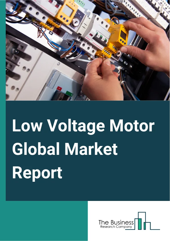 Low Voltage Motor