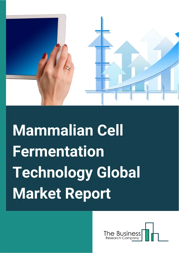 Mammalian Cell Fermentation Technology