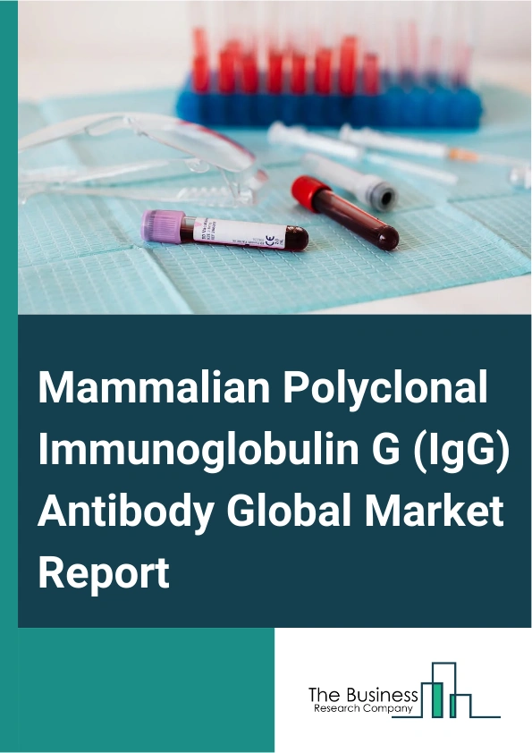 Mammalian Polyclonal Immunoglobulin G IgG Antibody