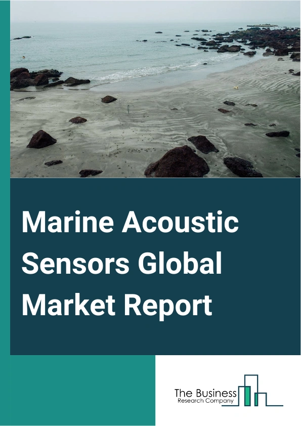 Marine Acoustic Sensors