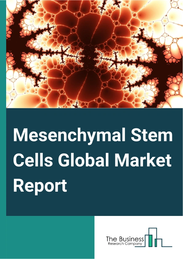 Mesenchymal Stem Cells