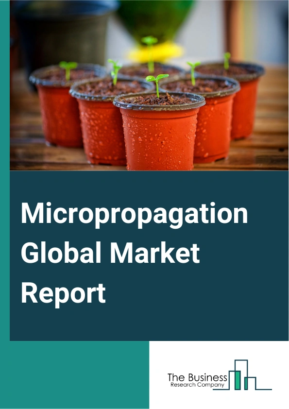 Micropropagation Global Market Report 2024 – By Crop Types (Banana, Orchids And Ornamentals, Medicinal Plants, Vegetables, Small Fruits, Other Crop Types), By Container Type (Test Tubes And Petri Dishes, Glass Bottles, Plastic Containers), By Sales Channels (Offline, Online), By End User (Farmers, Research Labs, Other End Users) – Market Size, Trends, And Global Forecast 2024-2033