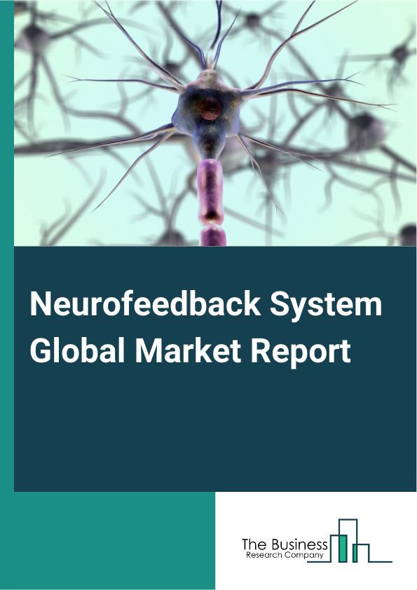 Neurofeedback System