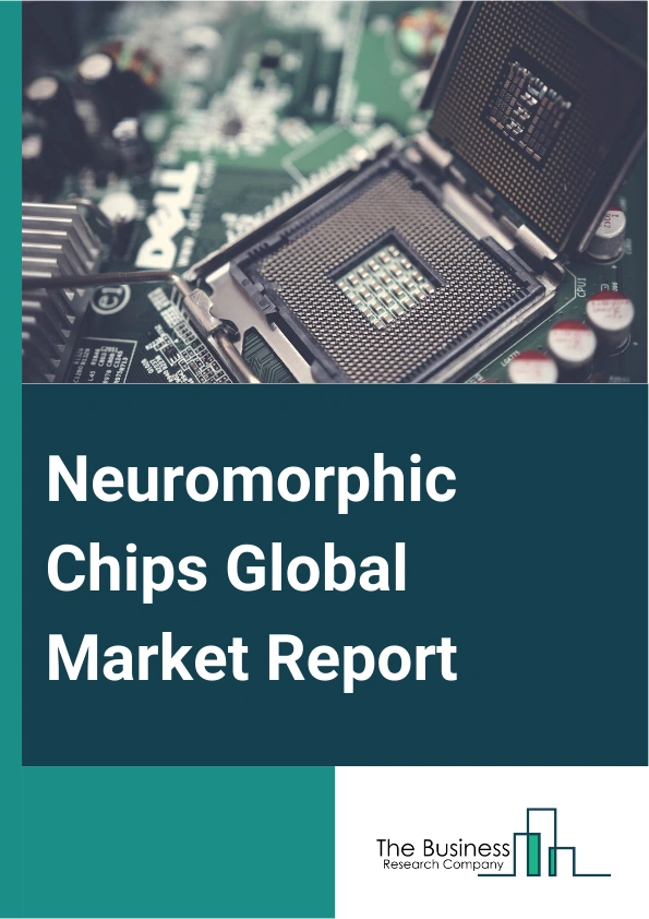 Neuromorphic Chips