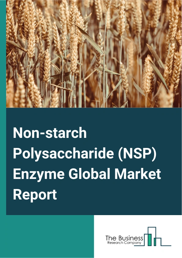 Non starch Polysaccharide NSP Enzyme