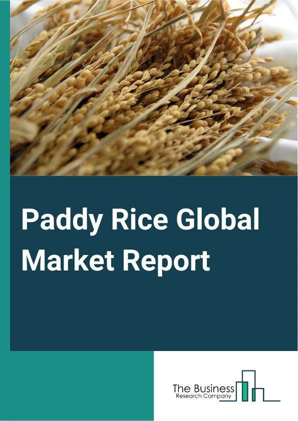 Paddy Rice