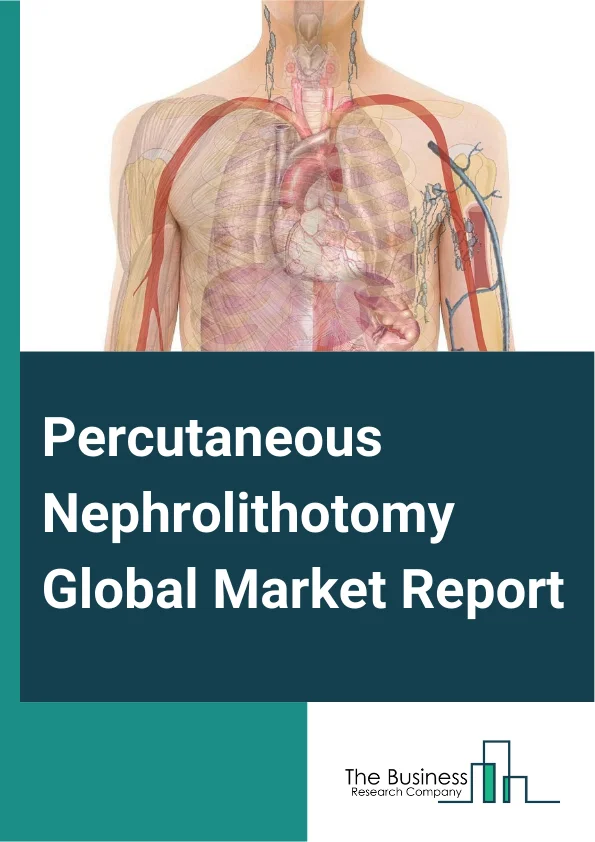 Percutaneous Nephrolithotomy