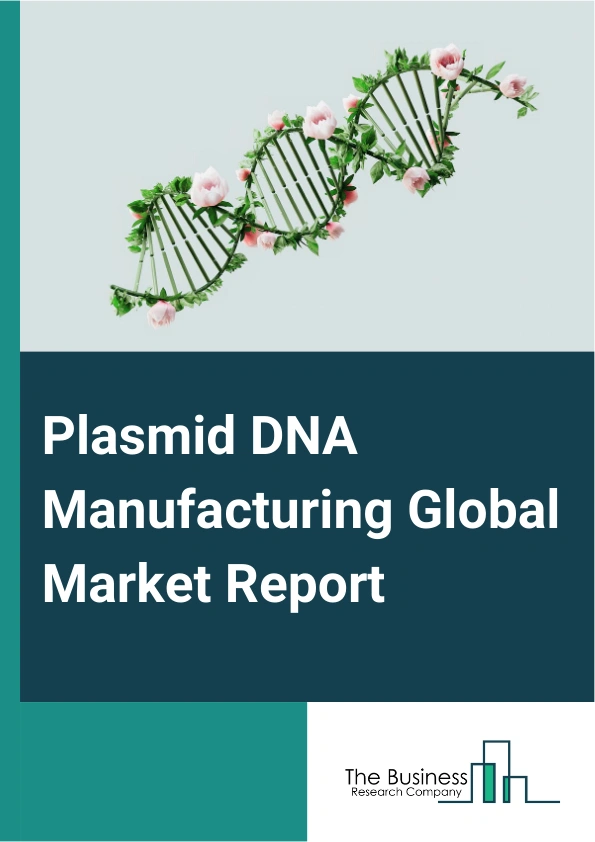 Plasmid DNA Manufacturing