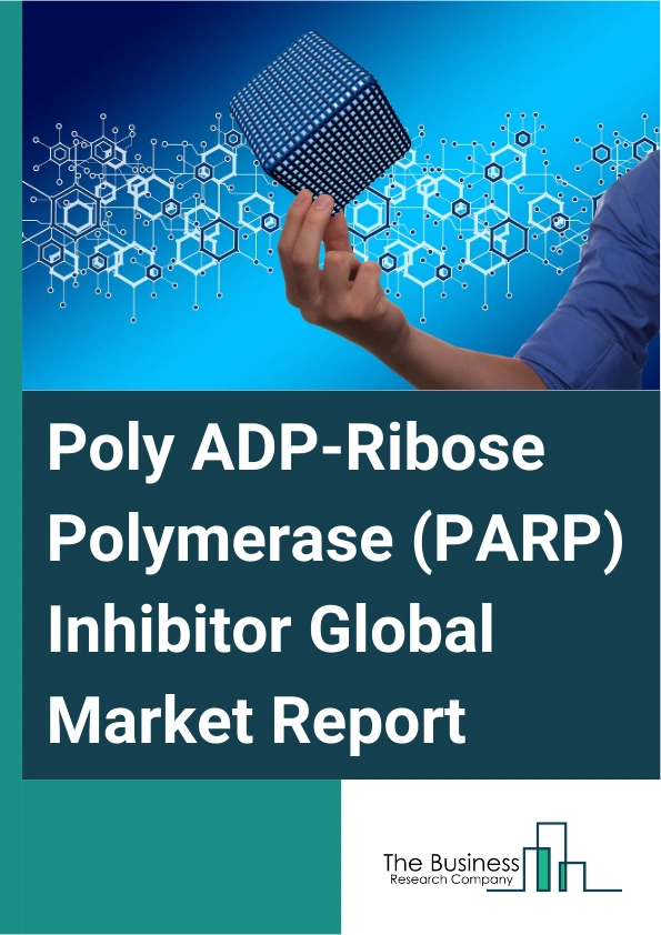 Poly ADP Ribose Polymerase PARP Inhibitor