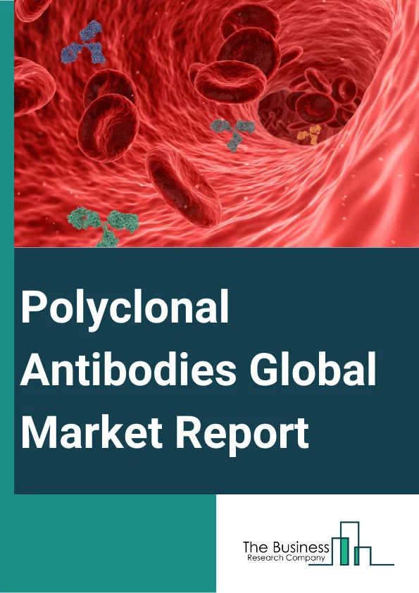 Polyclonal Antibodies