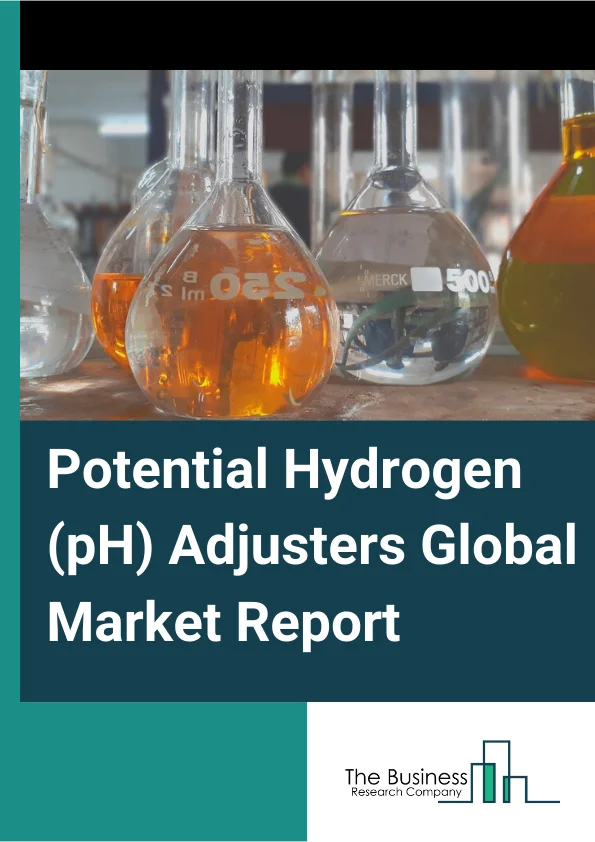 Potential Hydrogen (pH) Adjusters Global Market Report 2024 – By Type( Adjuvants, Soil Treatment, Aglime, Gypsum), By Application Type( Stabilizer, Fungicides, Pesticides, Herbicides, Neutralizing Agent, Other Applications), By End Users Type( Textile and Leather, Agrochemical, Pharmaceutical,  Cosmetics and Personal Care, Surfactants, Other End Users) – Market Size, Trends, And Global Forecast 2024-2033
