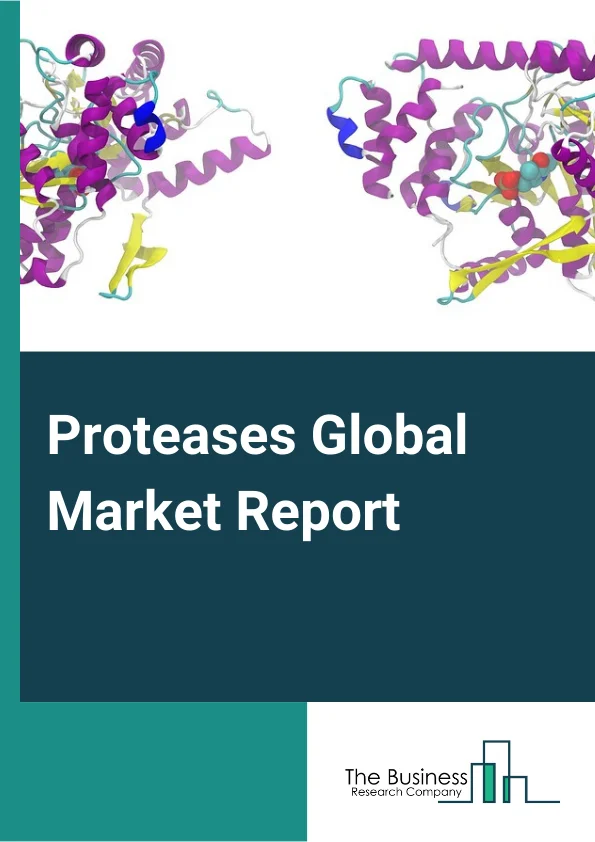Proteases Global Market Report 2024 – By Source( Animal, Plant, Microbial), By Form( Liquid, Powder), By Application( Food And Beverage, Healthcare, Animal Feed, Other Applications) – Market Size, Trends, And Global Forecast 2024-2033