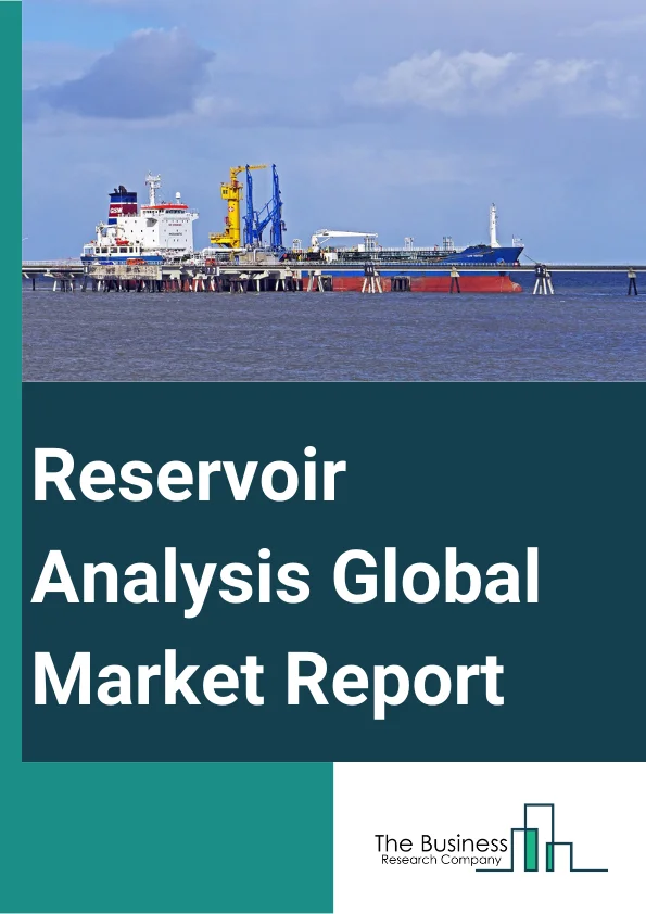 Reservoir Analysis Global Market Report 2023