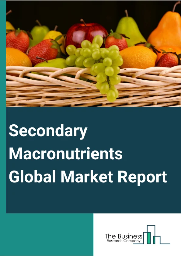 Secondary Macronutrients Global Market Report 2024 – By Nutrient Type (Calcium, Magnesium, Sulfur), By Crop Type (Cereals And Grains, Oilseeds And Pulses, Fruits And Vegetables, Other Crop Types), By Application Method (Solid Application, Liquid Application) – Market Size, Trends, And Global Forecast 2024-2033