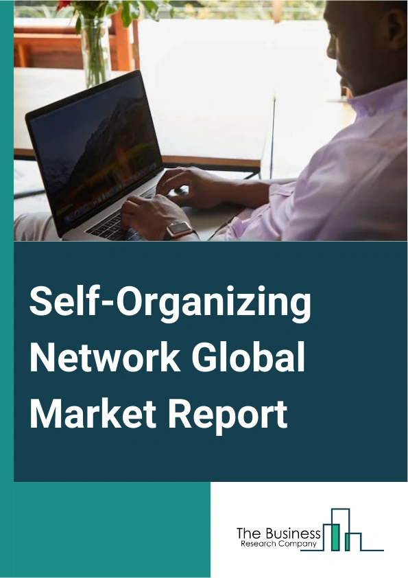 Self Organizing Network