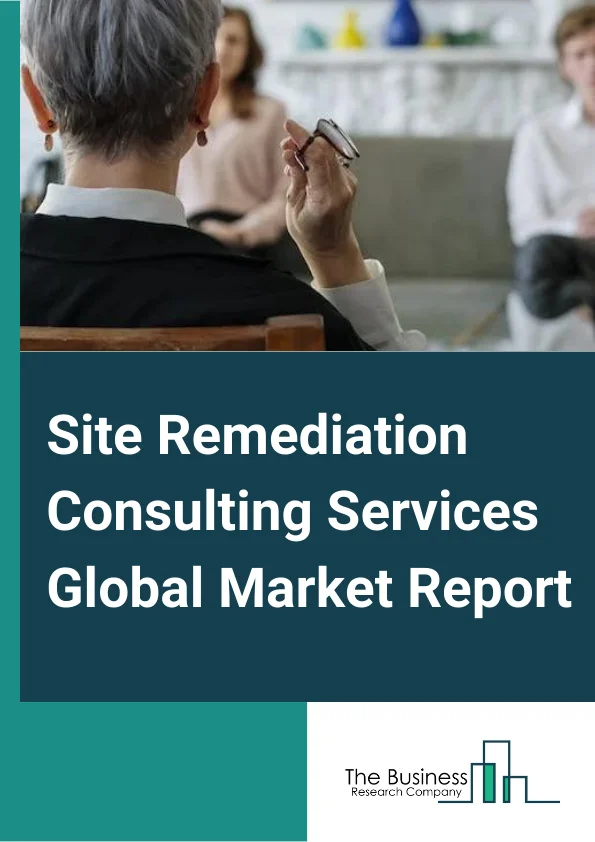 Global Site Remediation Consulting Services Market Report 2024
