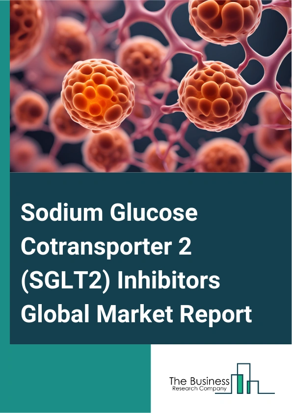 Sodium Glucose Cotransporter 2 SGLT2 Inhibitors