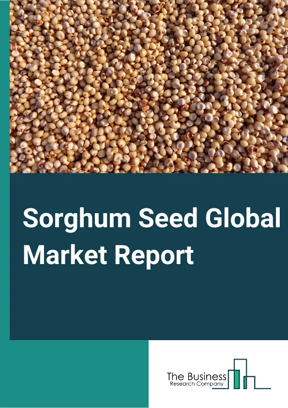 Sorghum Seed Global Market Report 2024 – By Product Type (Grain Sorghum, Sweet Sorghum, Forage Sorghum, Biomass Sorghum), By Application (Sorghum Planting, Sorghum Breeding), By End User (Animal Feed, Food Industry, Wine Making, Biofuel And Chemical Production, Other End Users) – Market Size, Trends, And Global Forecast 2024-2033