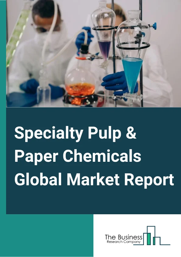 Specialty Pulp & Paper Chemicals Global Market Report 2024 – By Product (Basic Chemicals, Functional Chemicals, Bleaching Chemicals, Process Chemicals), By Sales Channel (Direct/Institutional Sales, Indirect Sales), By Application (Packaging, Labeling, Printing, Other Applications) – Market Size, Trends, And Global Forecast 2024-2033