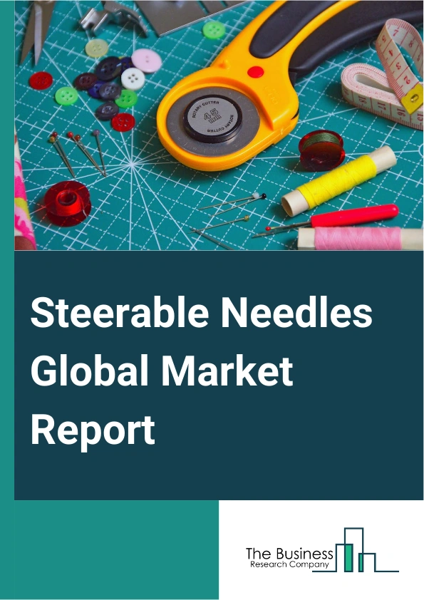 Steerable Needles