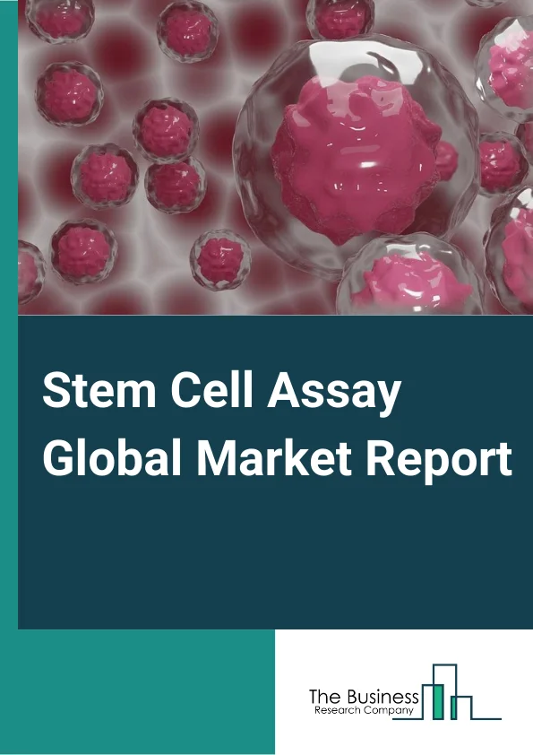 Stem Cell Assay Global Market Report 2024 – By Type (Cell Viability And Toxicity Assays, Cell Apoptosis Assays, Cell Function Assays, Cell Identification Assays, Isolation And Purification Assays, Cell Differentiation Assay, Other Types), By Product (Instruments, Detection kit), By Application (Regenerative Medicine And Therapy Development, Drug Discovery And Development, Clinical Research), By End User (Government Research Institutes, Private Research Institutes, Industry Research) – Market Size, Trends, And Global Forecast 2024-2033