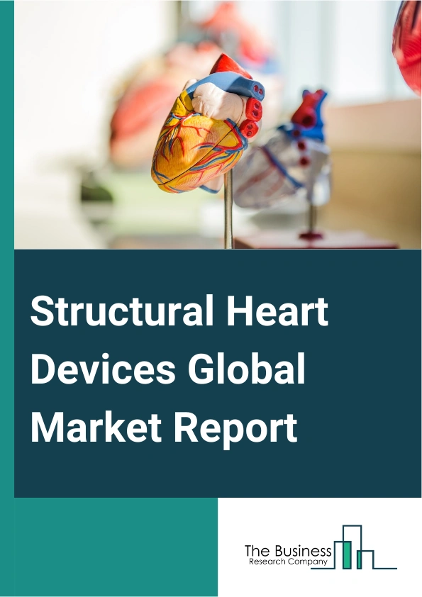 Structural Heart Devices Global Market Report 2024 – By Type (Heart Valve Devices, Annuloplasty Rings, Occluders, Delivery Systems), By Procedure (Replacement Procedures, Repair Procedures), By Indication (Atrial Septal Defect, Patent Foramen Ovale, Ventricular Septal Defect, Aortic Valve Stenosis, Other Indications), By Age Group (Pediatric, Adults) – Market Size, Trends, And Global Forecast 2024-2033