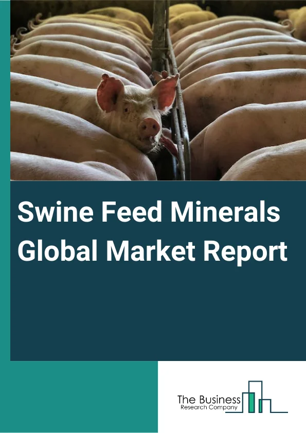 Swine Feed Minerals Global Market Report 2024 – By Product (Starter Feed or Grower Feed, Sow Feed, Pig Grower Feed, Other Products), By Ingredients (Cereal, Oilseed Meal, Oil, Molasses, Other Ingredients), By Additives (Antibiotics, Vitamins, Antioxidants, Amino Acids, Feed Enzymes, Feed Acidifiers, Other Additives) – Market Size, Trends, And Global Forecast 2024-2033