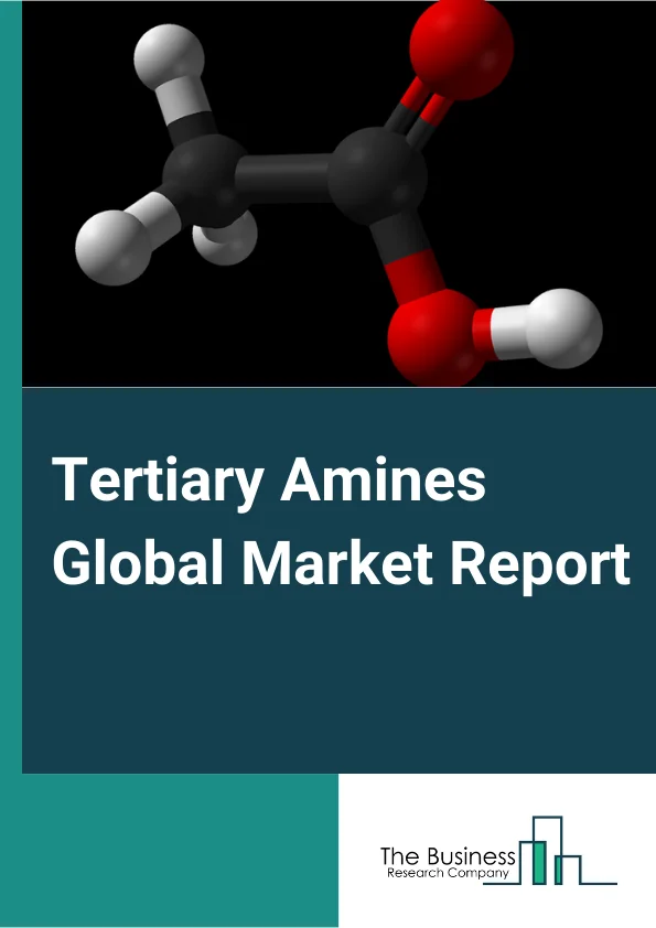 Tertiary Amines Global Market Report 2024 – By Product (C-8 TA, C-10 TA, C-12 TA, C-14 TA, C-16 TA, Other Products), By Application (Surfactants, Biocides, Floatation Agents, Corrosion Inhibitors, Emulsifier, Drilling Material, Other Applications), By End-User (Cleaning Products, Agricultural Chemicals, Personal Care, Petroleum Industry, Water Treatment, Plastics, Pharmaceuticals, Textiles and Fibers, Other End-Users) – Market Size, Trends, And Global Forecast 2024-2033