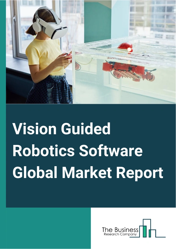 Vision Guided Robotics Software