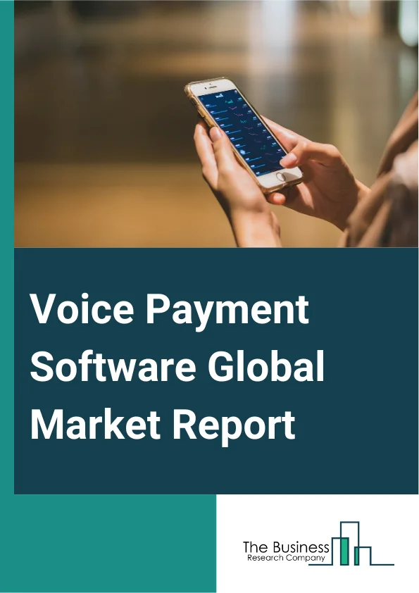 Voice Payment Software