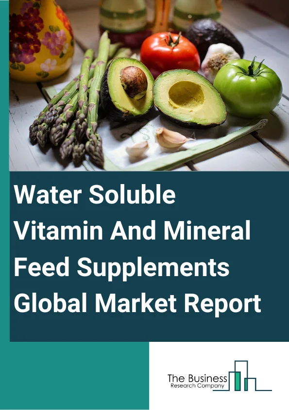 Water-Soluble Vitamin And Mineral Feed Supplements Global Market Report 2024 – By Vitamin Type (Vitamin B1, Vitamin B2, Vitamin B3, Vitamin B5, Vitamin B6, Vitamin B9, Vitamin C, Other Vitamin Types), By Mineral Type (Potassium, Calcium, Phosphorus, Magnesium, Sodium, Iron, Zinc, Copper, Manganese, Other Mineral Types), By Application (Poultry, Swine, Ruminants, Aquaculture, Other Applications) – Market Size, Trends, And Global Forecast 2024-2033